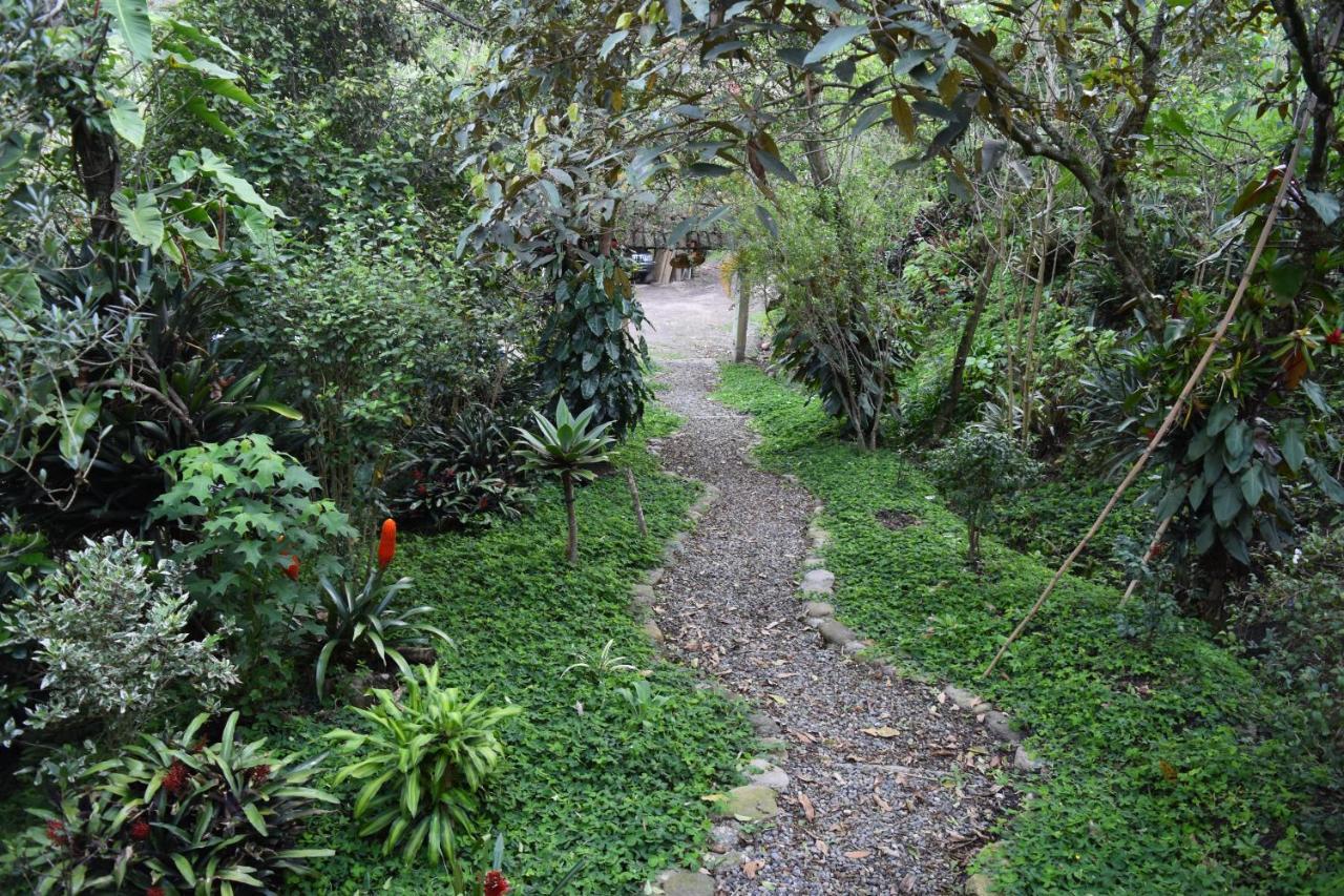Huitaca Chalet *