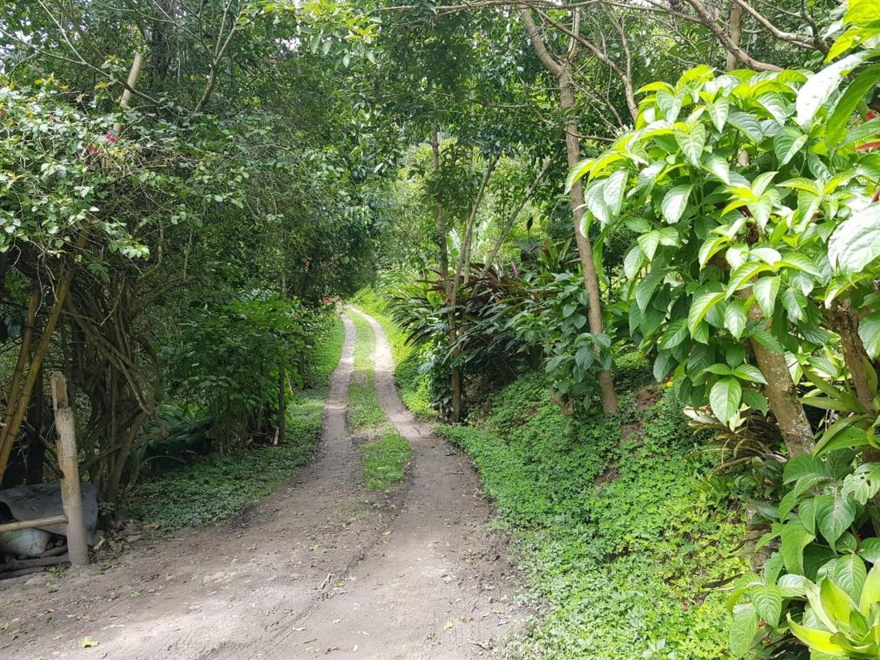 Huitaca Choachí