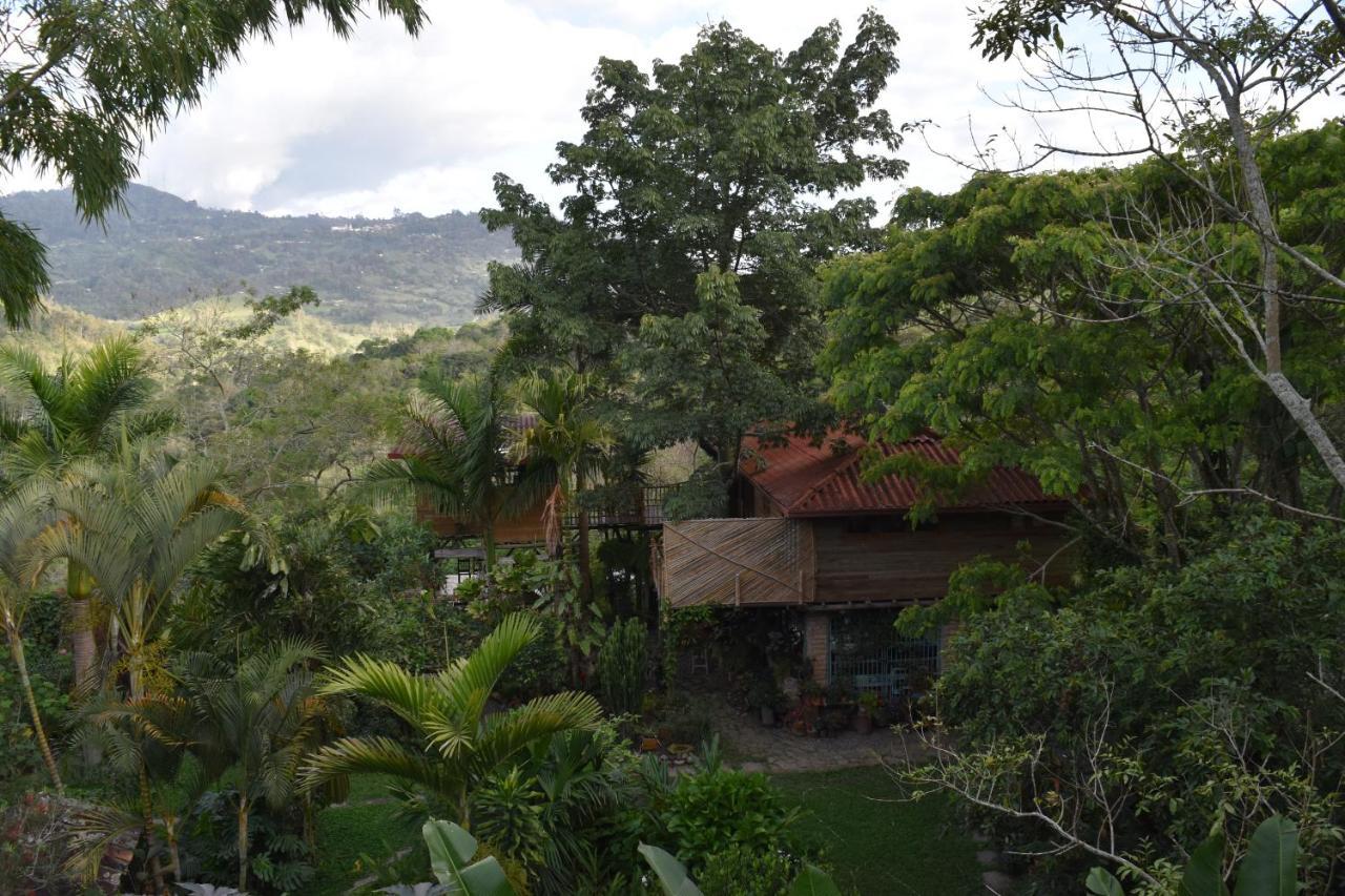 Huitaca Chalet *