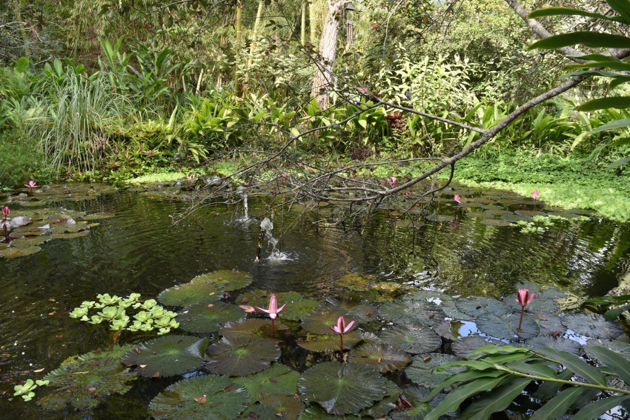 Huitaca